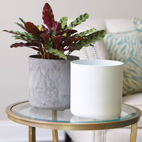 Lena Round Planters, Set of Three